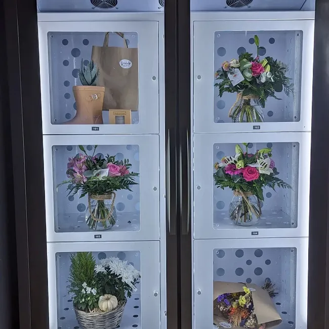 Micron smart cooling locker for selling plants flower in France