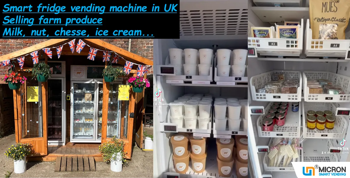 Vegetable vending machine smart fridge for sale fresh farm produce