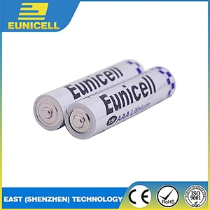 Primary Li-Ion Type 1.5V FR03 FR6 Li-Ion Battery AA AAA Sizes cell