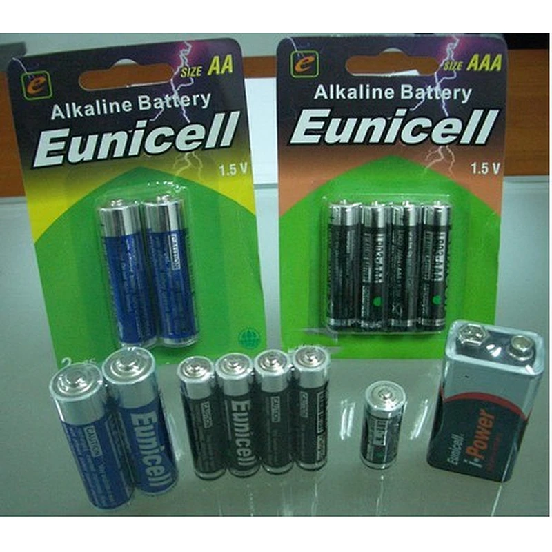 OEM D size LR20 alkaline battery
