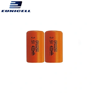Er10250 2/3AAA lithium battery 3.6V lisocl 2 400mah dry battery