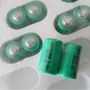 Li-SOCL2 3.6V Lithium Battery ER10450 750mAh for Water Meter