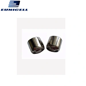 lr50 alkaline button cell Batteries for camera