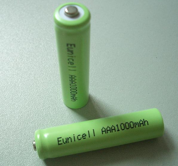 AAA1000mah.JPG