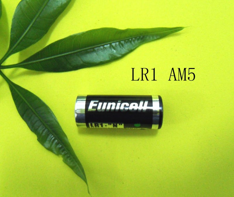 LR1 AM5 1.5V Alkaline Battery