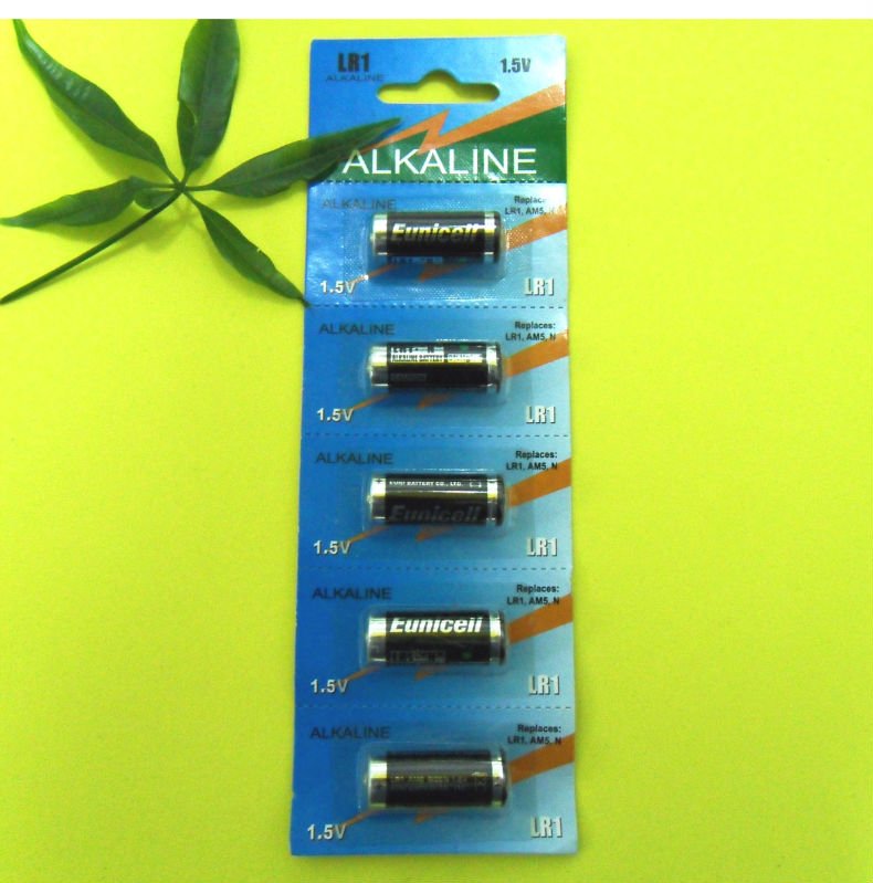 LR1 AM5 1.5V Alkaline Batteries with card