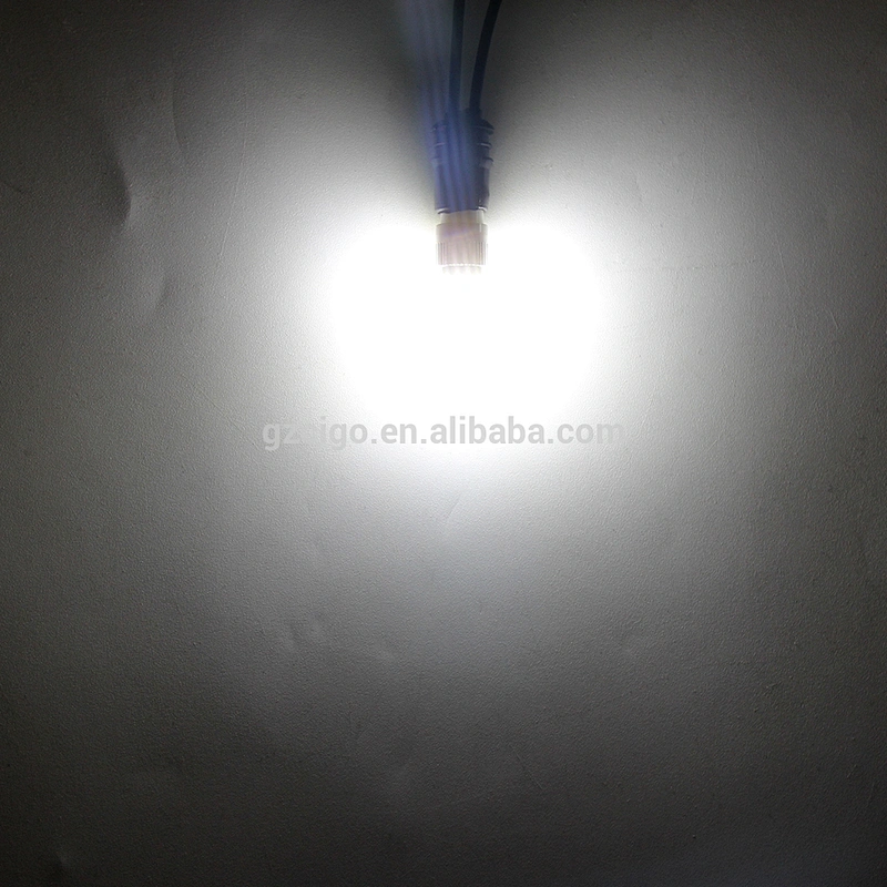 T10-36SMD-3014 t10 12-24v led bulb t10 led globes w5w light bulb