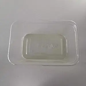 Biodegradable Plate Tray Disposable Pulp Tableware Paper