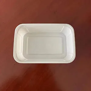 Biodegradable Plate Tray Disposable Pulp Tableware Paper