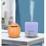 The difference and importance of humidifier and diffuser