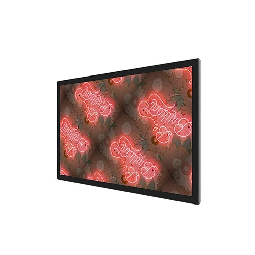 55 inch LCD Monitor