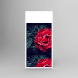 Double-sided window advertising display