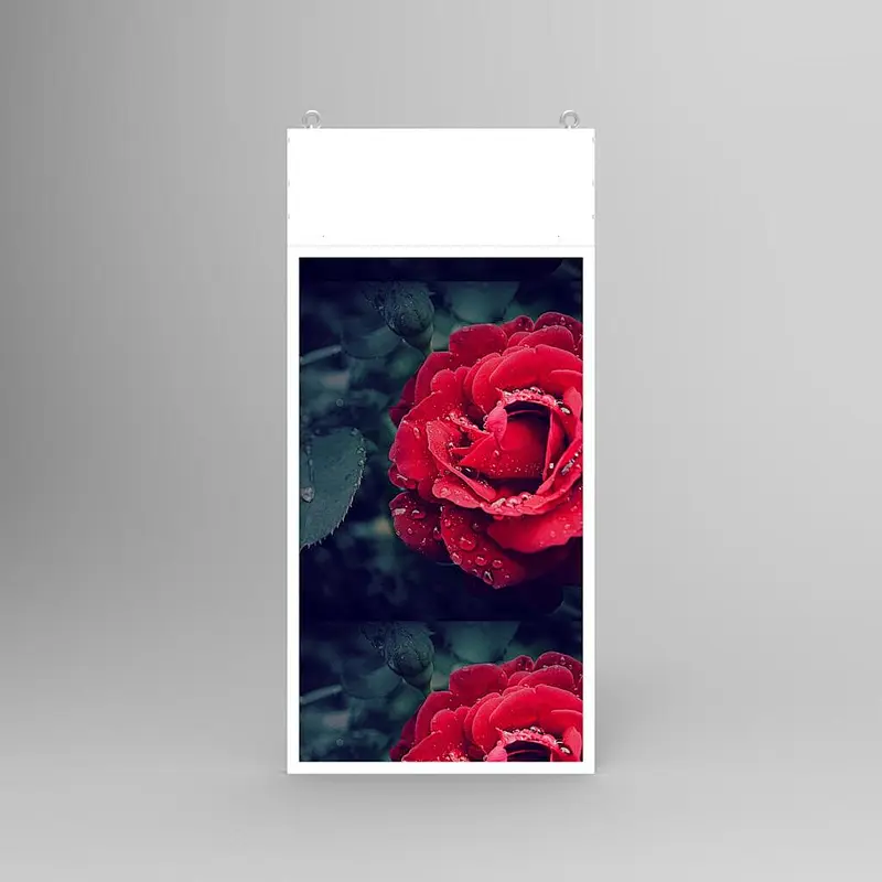 Double-sided window advertising display