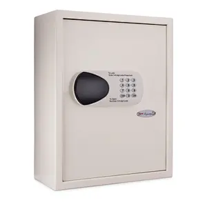 Mount Wall Safe