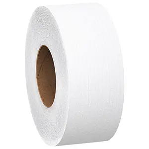 Scott Bath Tissue 2 Ply