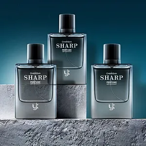 Fancy Design Best Cheap Manufacturer 50ml Your Own Brand Perfume For Man