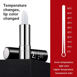 Best High Quality Custom OEM Makeup Beauty Cosmetics Lipstick Private Label