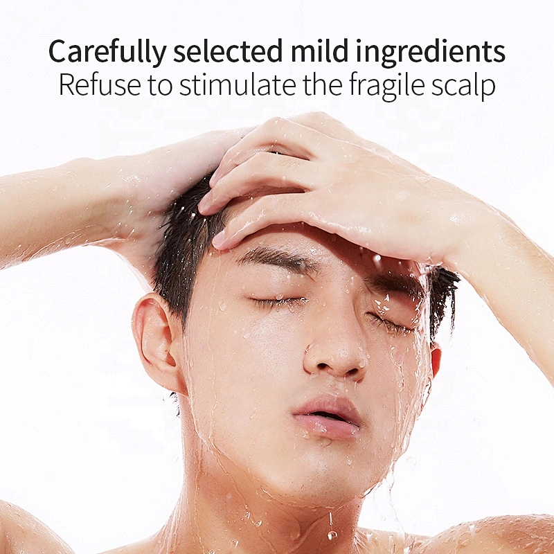 Wholesale OEM Private Label High Quality Mens Anti Lice Dandruff Anti-hair Lost Liquid Hair Shampoo
