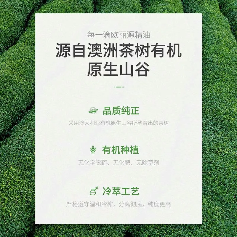 High Quality Effective Natural 100% Pure Tea Tree Oil Essential