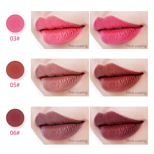 oem private label lipstick long lasting lipstick waterproof vagen matte velvet lip stick