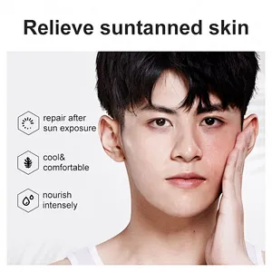 OEM ODM Custom Private Label Sun Damaged Skin Repair Moisturizing Cream After Sun Cooling Best Soothing Gel