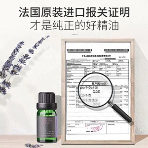 Private Label 10ml Organic Fragrance Aromatherapy Lavender Essential Oil