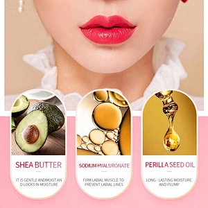 Customize Make Your Own Private Label Cosmetics Organic Matte Waterproof Not Fade  Lipstick