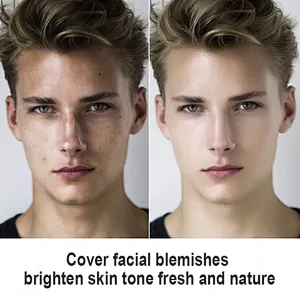 Factory Price Custom Wholesale Private Pabel Oem Cosmetics Foundation Air BB Cushion For Men