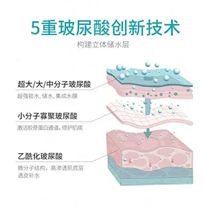 Best Sale Hyaluronic Acid Anti Aging Lotion Beauty Face Cream