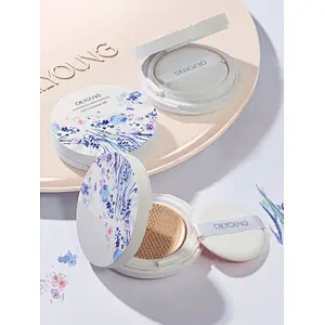 Fashion Design Private Label Liquid Oil Control Concealer BB Cream Cushion Makeup Foundation