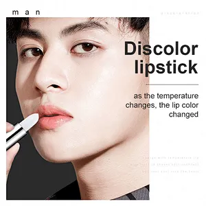 Best High Quality Custom OEM Makeup Beauty Cosmetics Lipstick Private Label