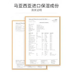 Custom Oem Beauty Makeup BB Cream Waterproof Foundation Air Cushion BB