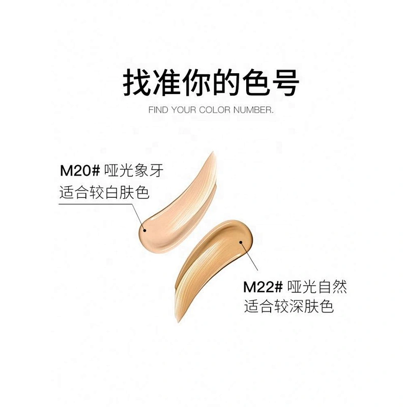 Wholesale Private Label Waterproof long lasting Lady Air BB Cushion BB Cream OEM