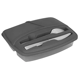 Plastic bento  lunch box  for kids and adults leak proof tiffin take away food