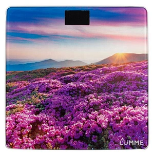 Union Source  display smart tempered glass household electronic body weight bathroom fat scale with exquisite pattern