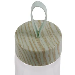 hot sale empty  320ml portable outdoor clear glass tea mug with a lid