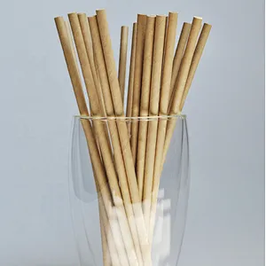 Union Source Wholesale manufacturer eco-friendly disposable degradable paper bamboo drinking straw