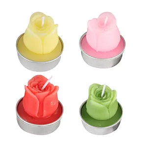 Union Source Cheap 6 pcs Watermelon Pineapple Flamingo Frog home dining table wedding decoration candle set wholesale