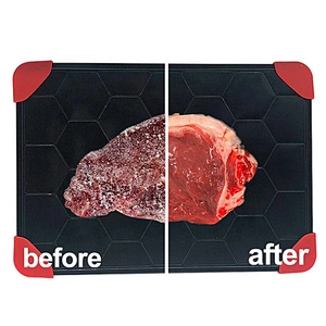 Healthy Aluminum quick Metal Thawing plate meat defrosting tray