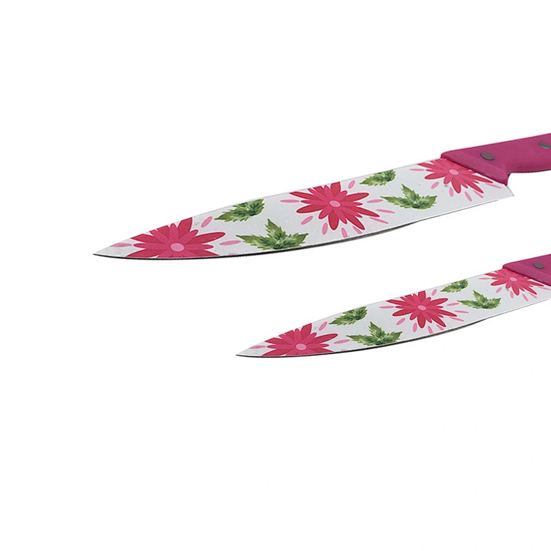 3 Piece printing flower blade stainless steel kitchen knife set with plastic Handle
