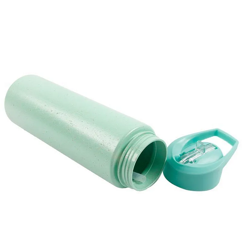 China Manufacturer single wall Portable Reusable sport wheat straw plastic Travel water bottle with straw