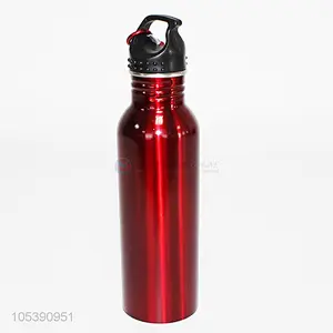 Good Quality Low Price Customized 750ml Sports Bottle Cheap Water Bottle Warmer Thermos Bottle With Lid