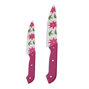 3 Piece printing flower blade stainless steel kitchen knife set with plastic Handle