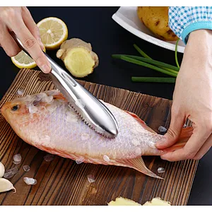 Union Source Fish Scale Scraper Skin Remover Fish Scales Greaters Scraper Fish Cleaning Tool
