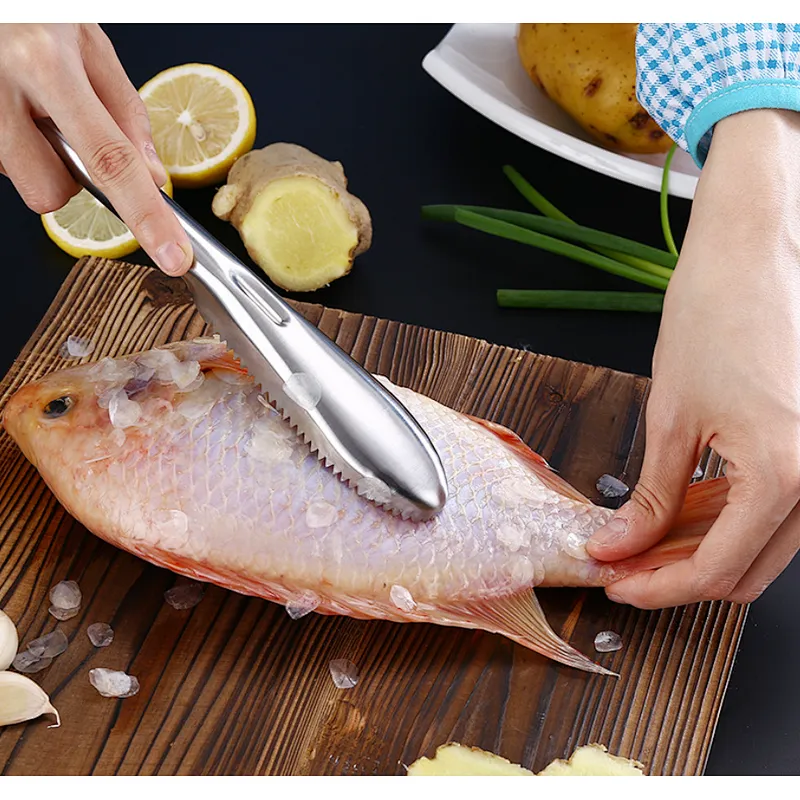 Union Source Fish Scale Scraper Skin Remover Fish Scales Greaters Scraper Fish Cleaning Tool