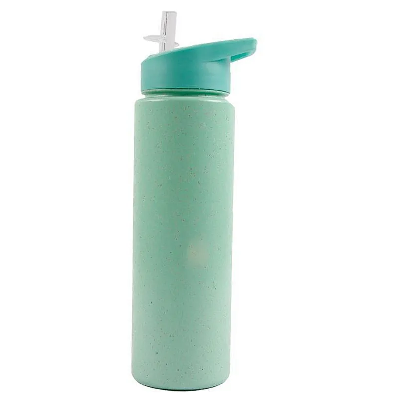 China Manufacturer single wall Portable Reusable sport wheat straw plastic Travel water bottle with straw
