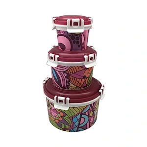New Arrival 5pcs/set Kitchen Refrigerator food fresh-keeping box