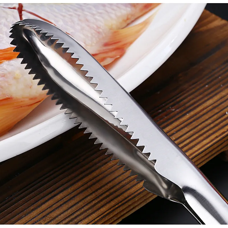 Union Source Fish Scale Scraper Skin Remover Fish Scales Greaters Scraper Fish Cleaning Tool