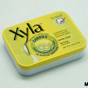 wholesale metal wire hinged tin box promotional gift tin can