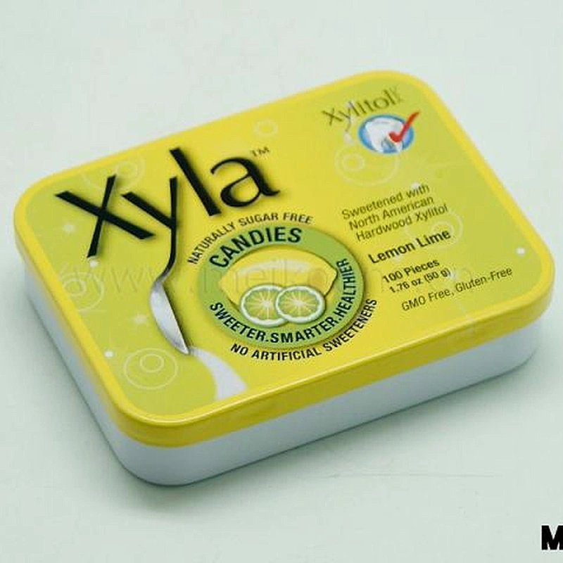 wholesale metal wire hinged tin box promotional gift tin can